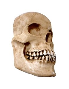 Media calavera resina