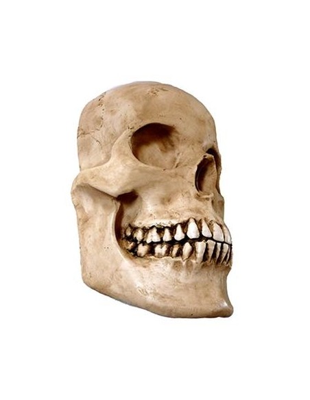 Media calavera resina