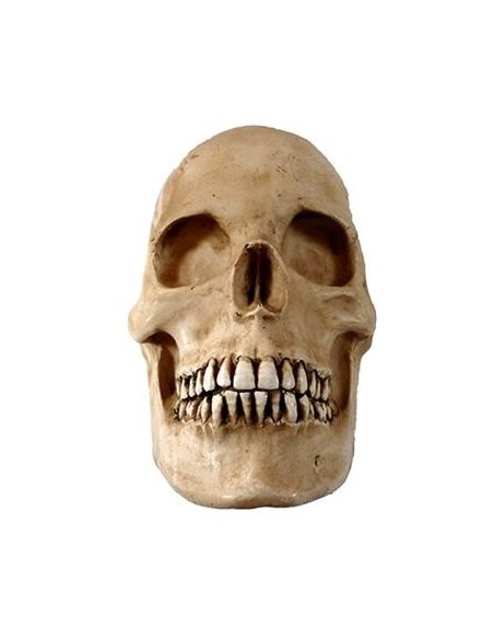 Media calavera resina