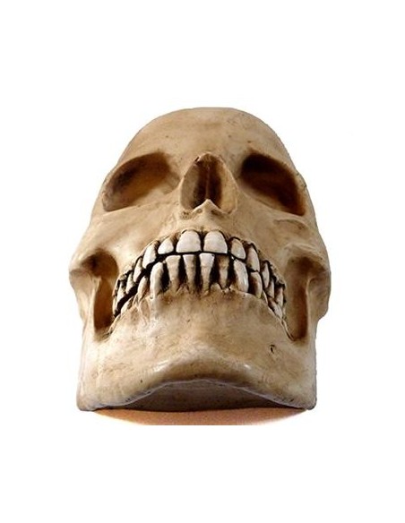 Media calavera resina