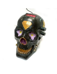 Fuente Calavera Negra