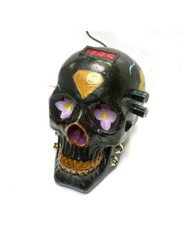Fuente Calavera Negra