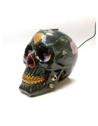 Fuente Calavera Negra