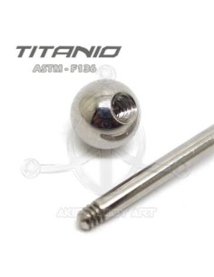 Barbel titanio crudo 2
