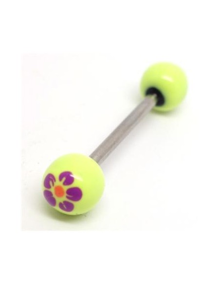 Barbell Flores Pintadas Barbell Flores Pintadas