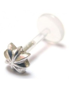 Labret bio-plast estrella