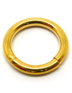 Aro segmentado ORO 2