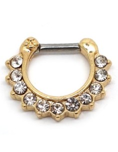 Septum SEPA3. Joya