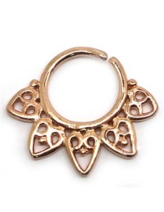 Septum Étnico ASEP1