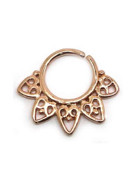 Septum Étnico ASEP1