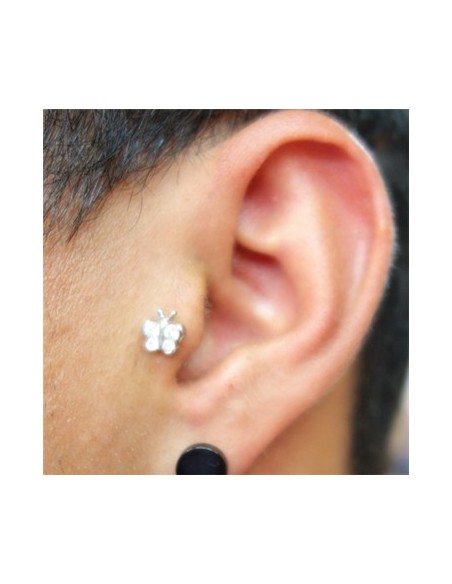 Tragus Mariposa-1
