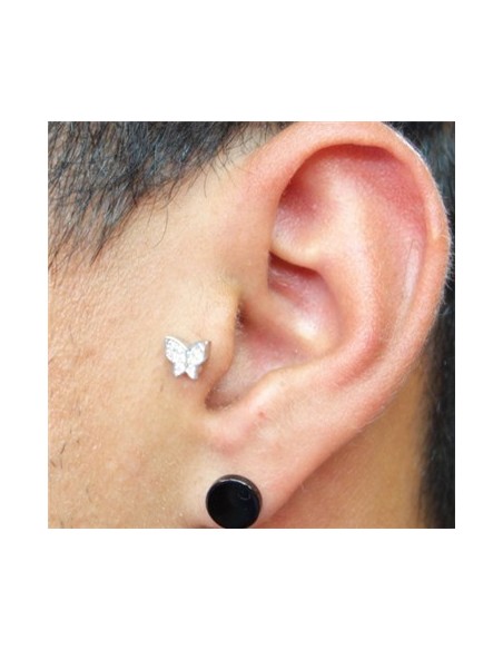 Tragus Mariposa-2