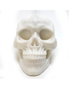 Calavera de silicona 2