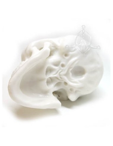 Calavera de silicona