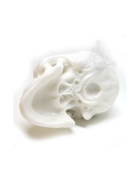 Calavera de silicona Calavera de silicona