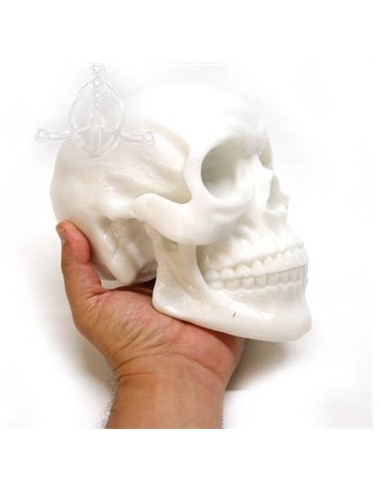 Calavera de silicona