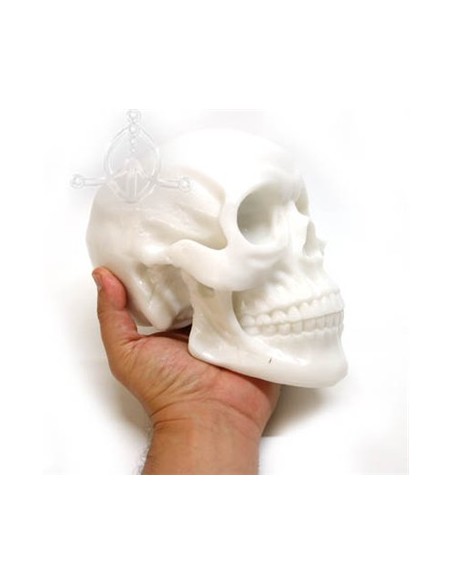Calavera de silicona Calavera de silicona
