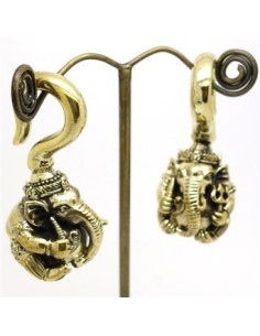 Peso GANESHA2 2