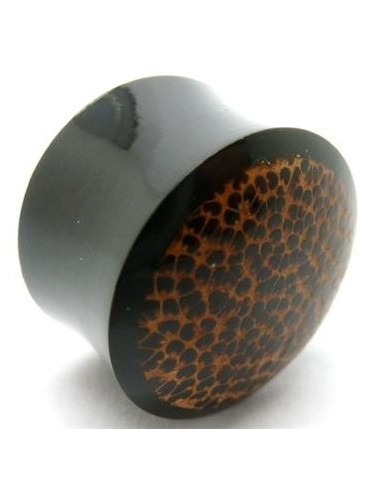 Dilatador hueso con madera