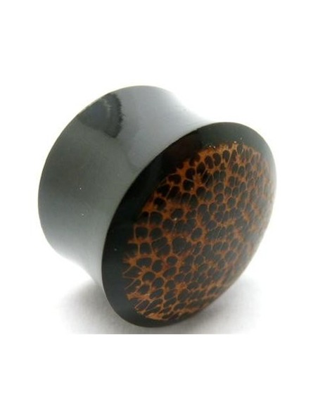 Dilatador hueso con madera Dilatador hueso con madera