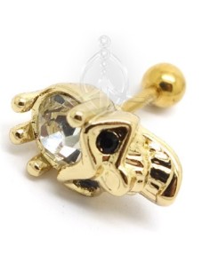 Tragus CALAVERA ORO