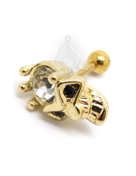 Tragus CALAVERA ORO