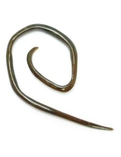 Minidilatador espiral angulada