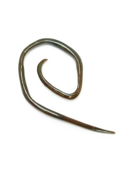 Minidilatador espiral angulada