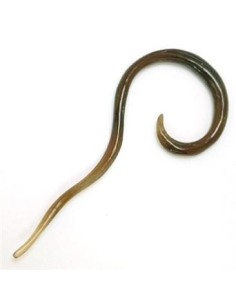 Minidilatador espiral abierta