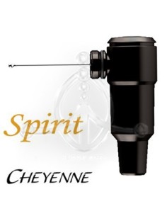 Cheyenne Hawk SPIRIT