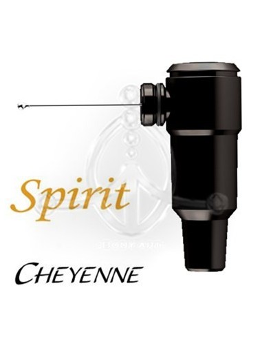 Cheyenne Hawk SPIRIT