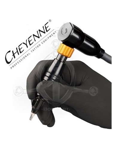 Cheyenne Hawk SPIRIT