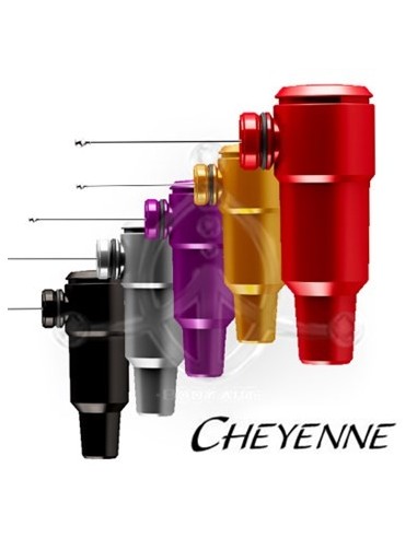 Cheyenne Hawk SPIRIT