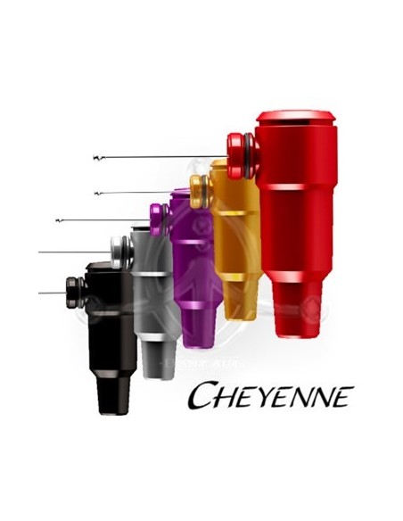 Cheyenne Hawk SPIRIT Cheyenne Hawk SPIRIT