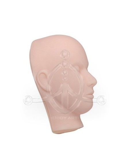 Piel Facial 3D Prácticas