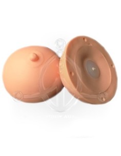 Areola 3D Prácticas (1) 2