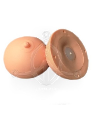 Areola 3D Prácticas (1)