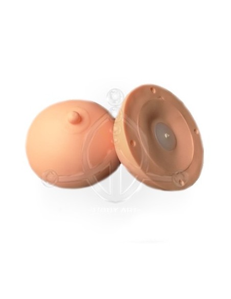 Areola 3D Prácticas (1) Areola 3D Prácticas (1)