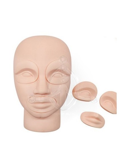 Cabeza Prácticas Ojos-Labios