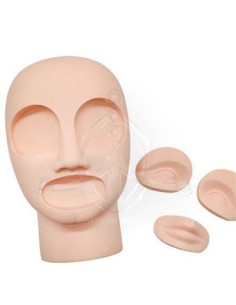 Cabeza Prácticas Ojos-Labios 2