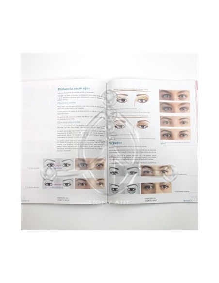 Libro de VISAJISMO Libro de VISAJISMO