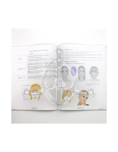 Libro de VISAJISMO Libro de VISAJISMO