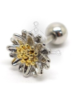 Tragus Margarita Oro 42
