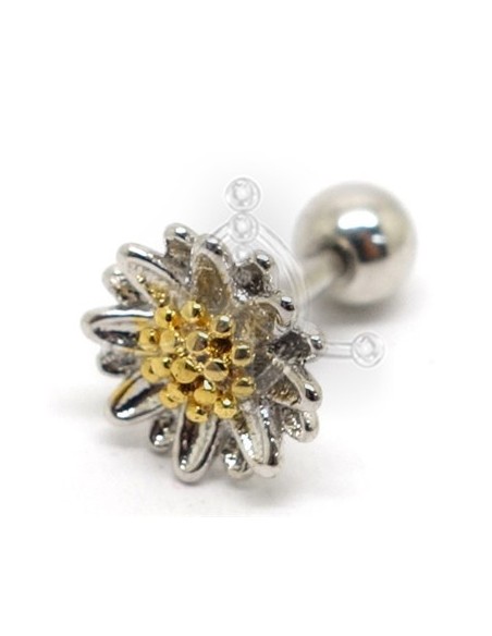 Tragus Margarita Oro 42
