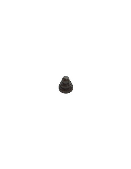 Pincho negro pesa