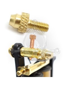 Tornillo Borne delantero (2)