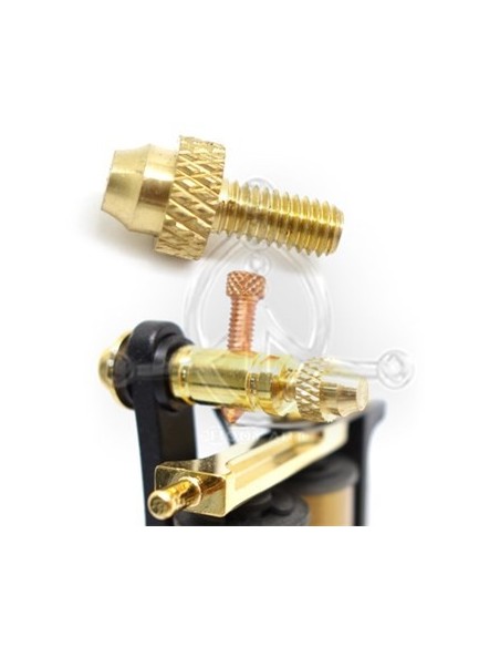 Tornillo Borne delantero (2)
