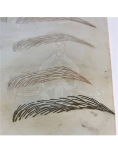 Piel Sintética para Prácticas 2