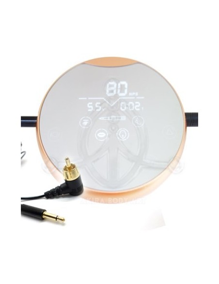 Kit Mini de Inicio Kit Mini de Inicio