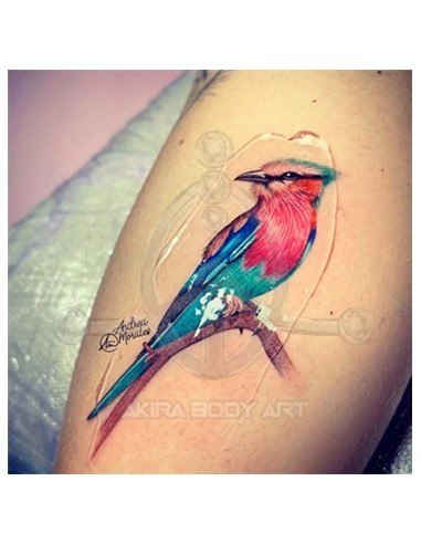 Photo Finish de 200ml en gel.